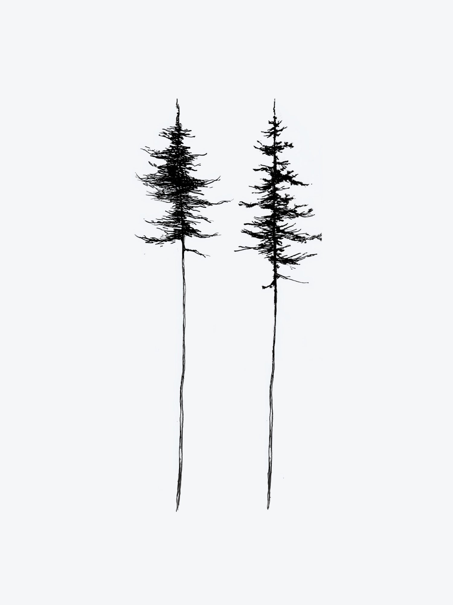 Tree Duo(2 Tattoos) temporary tattoo