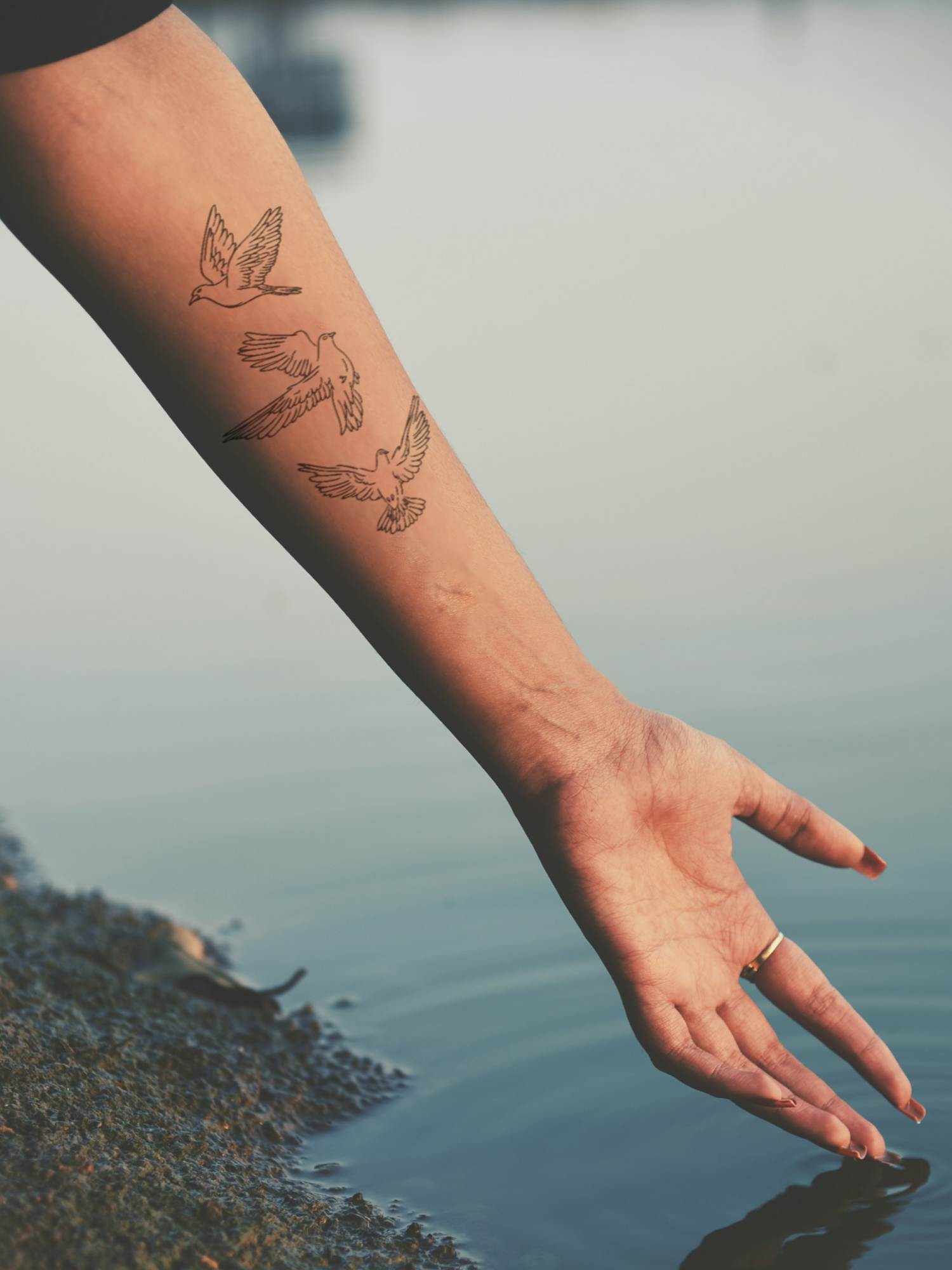 Dove Trio Bundle (3 Tattoos) temporary tattoo