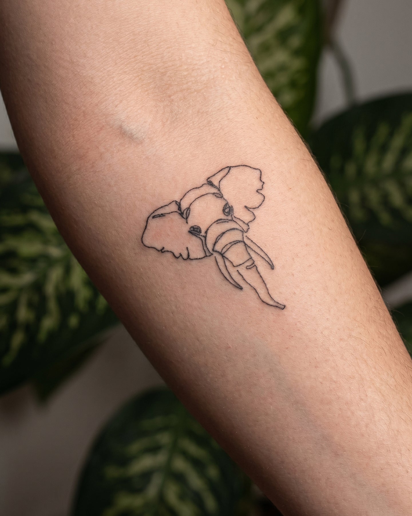 Elephant Oneliner temporary tattoo