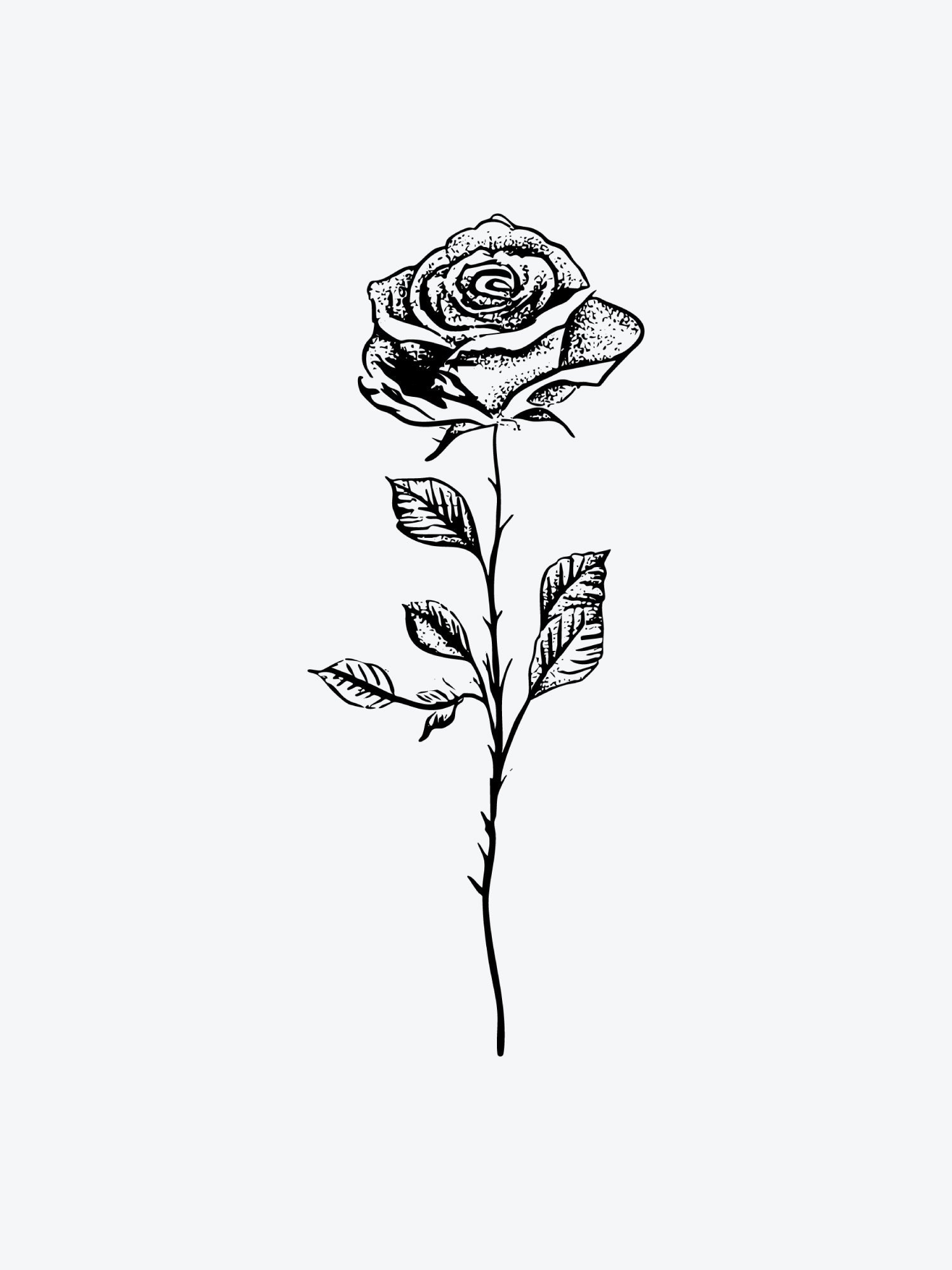 Rose Dotwork temporary tattoo