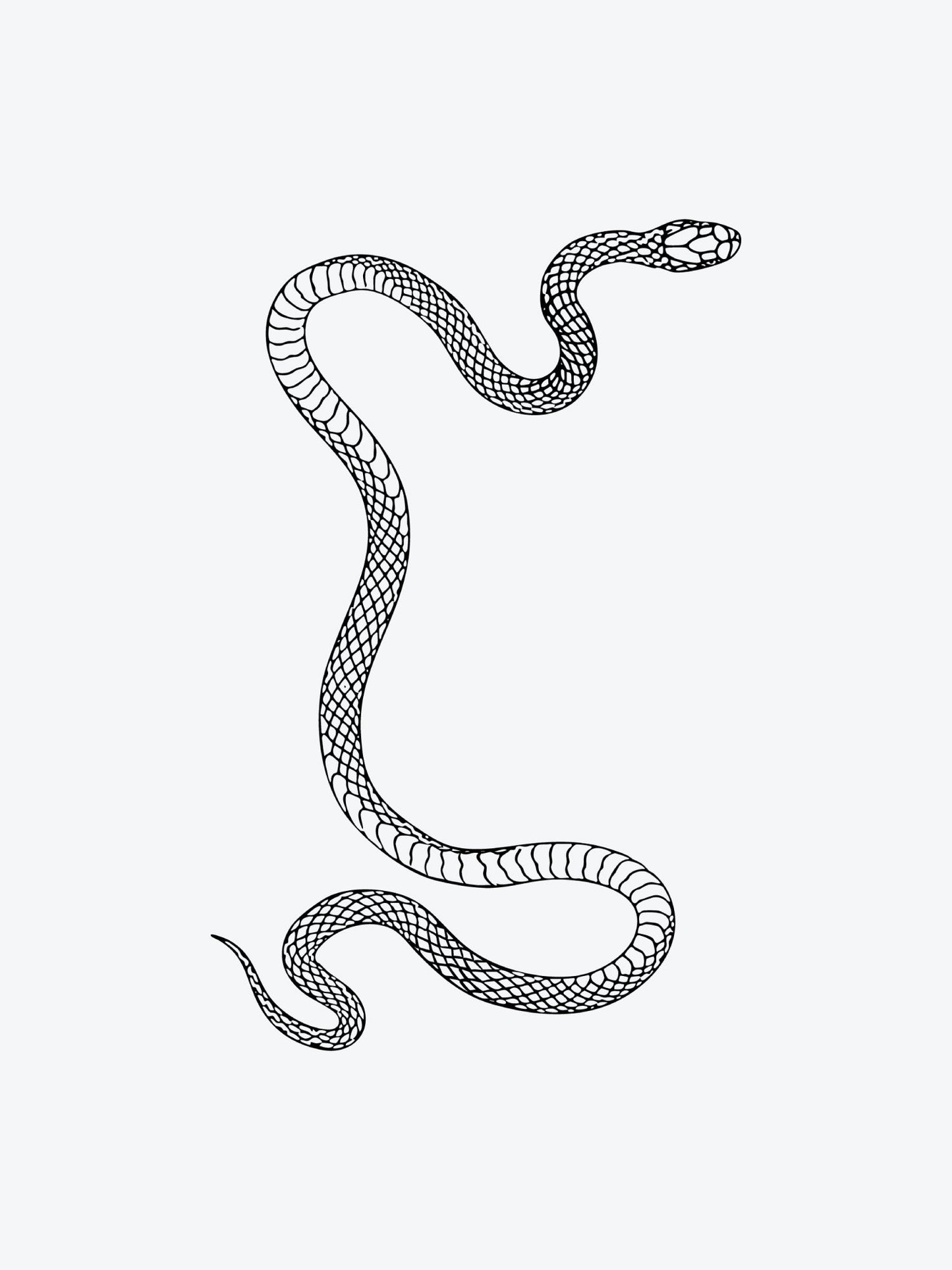 Snake - Long Curved temporary tattoo