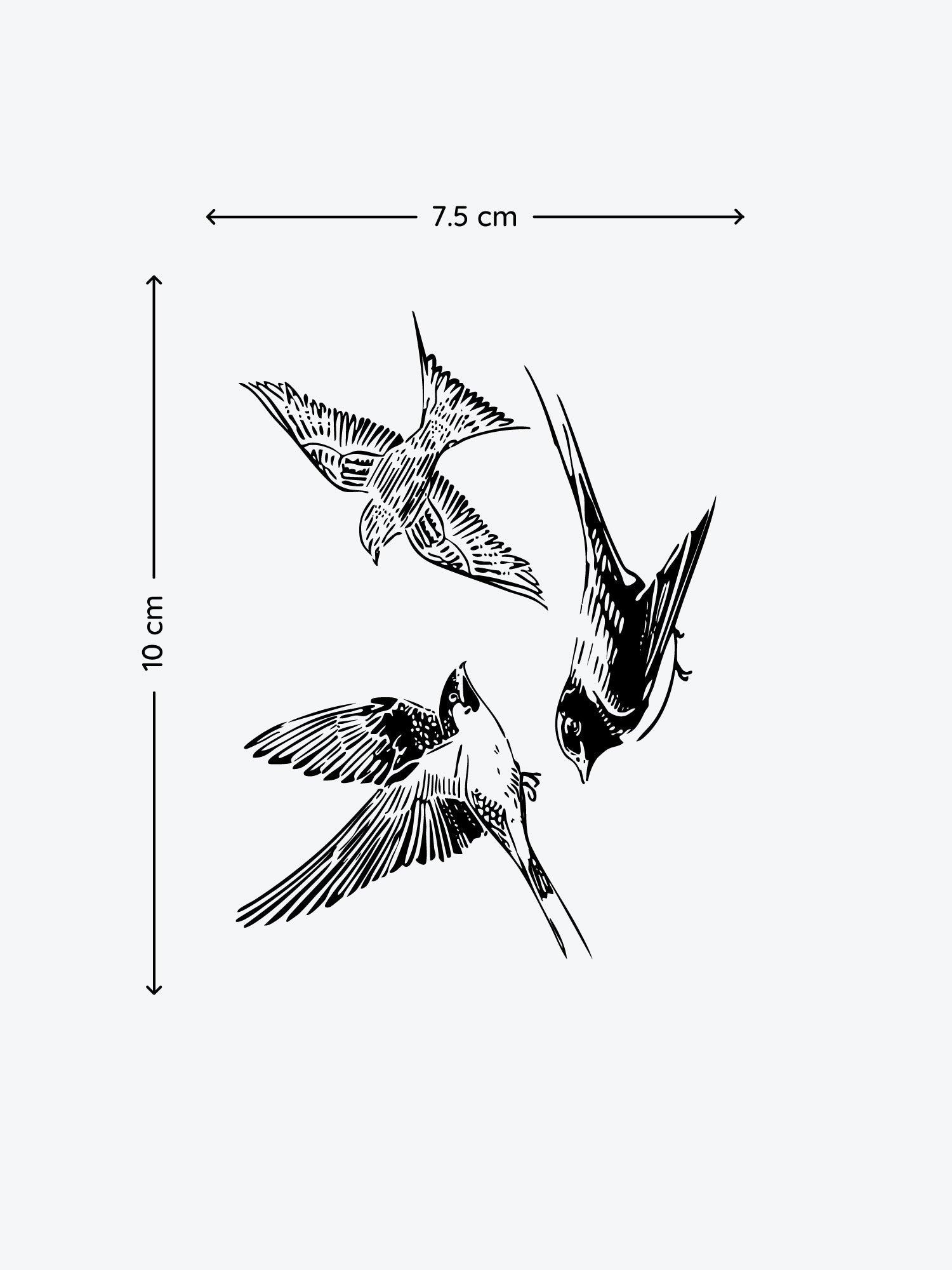 Bird Bundle (3 Tattoos) temporary tattoo