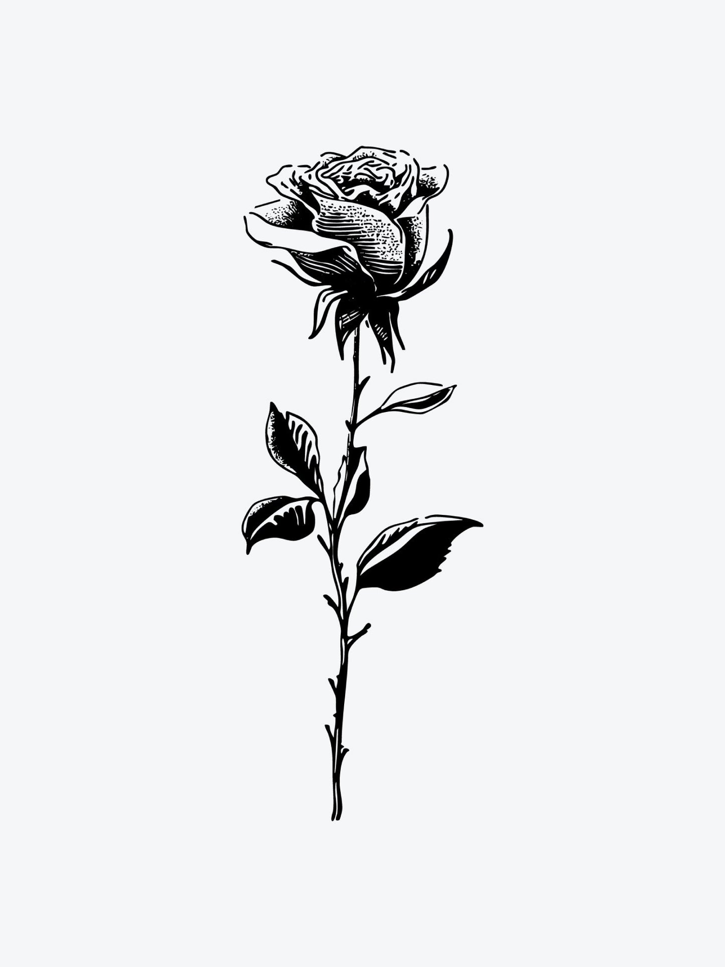 Rose Sketchwork temporary tattoo