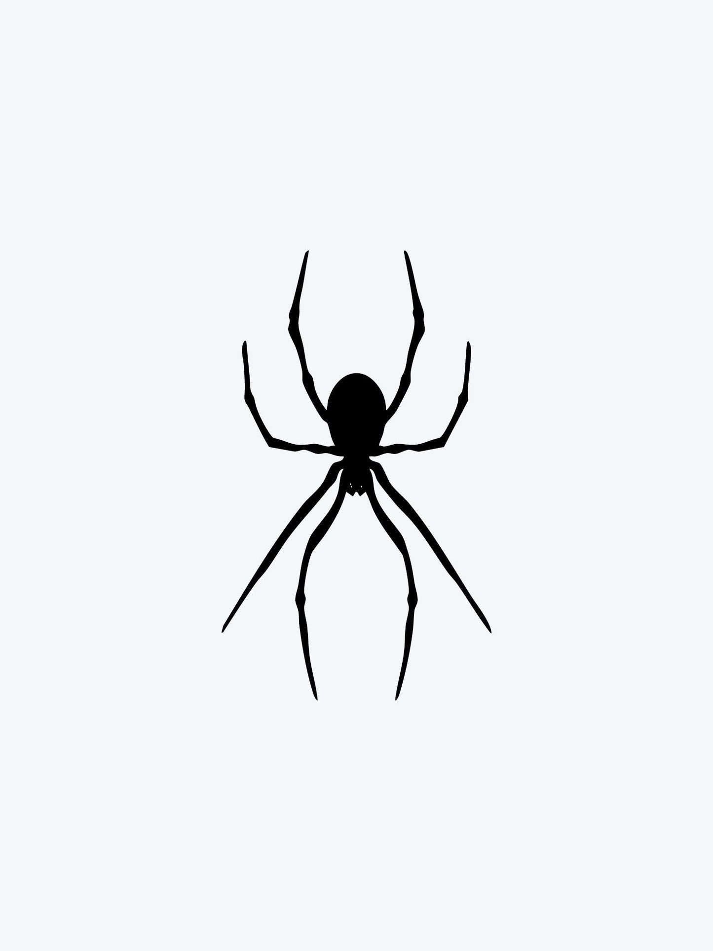 Spider Black temporary tattoo