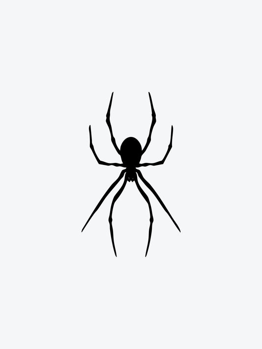 Spider Black temporary tattoo