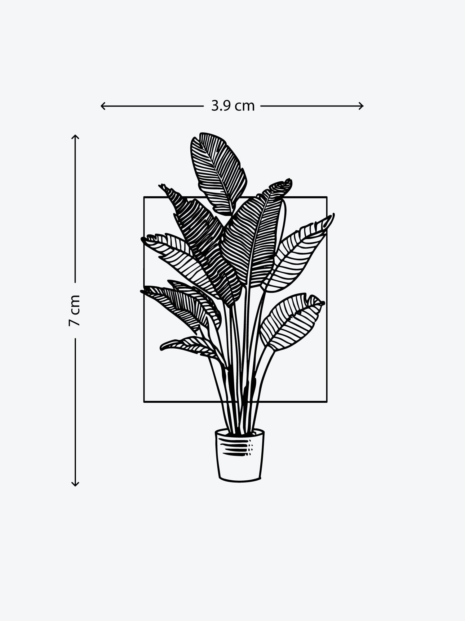 Plant In A Square temporary tattoo
