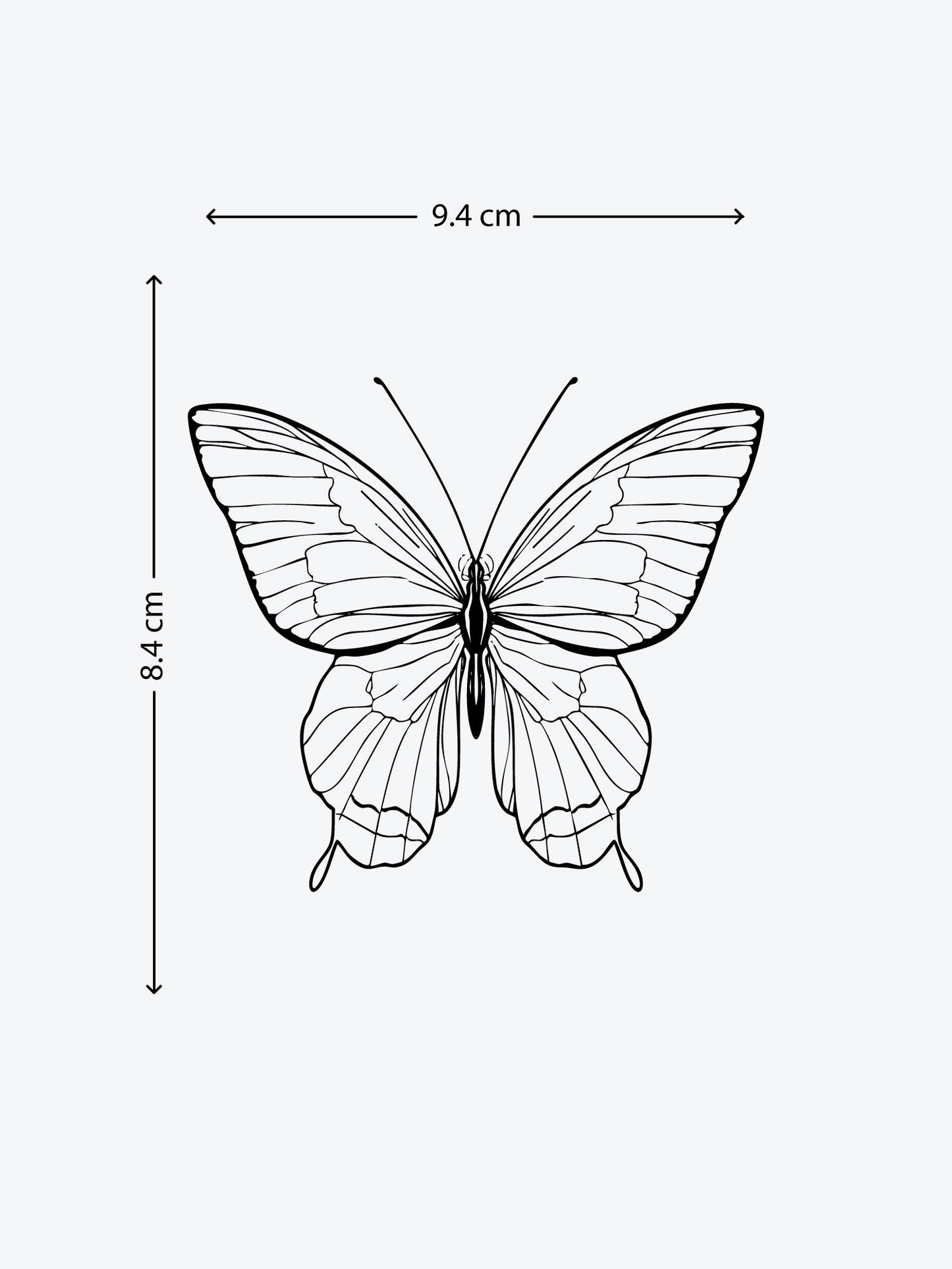 Butterfly Linework temporary tattoo