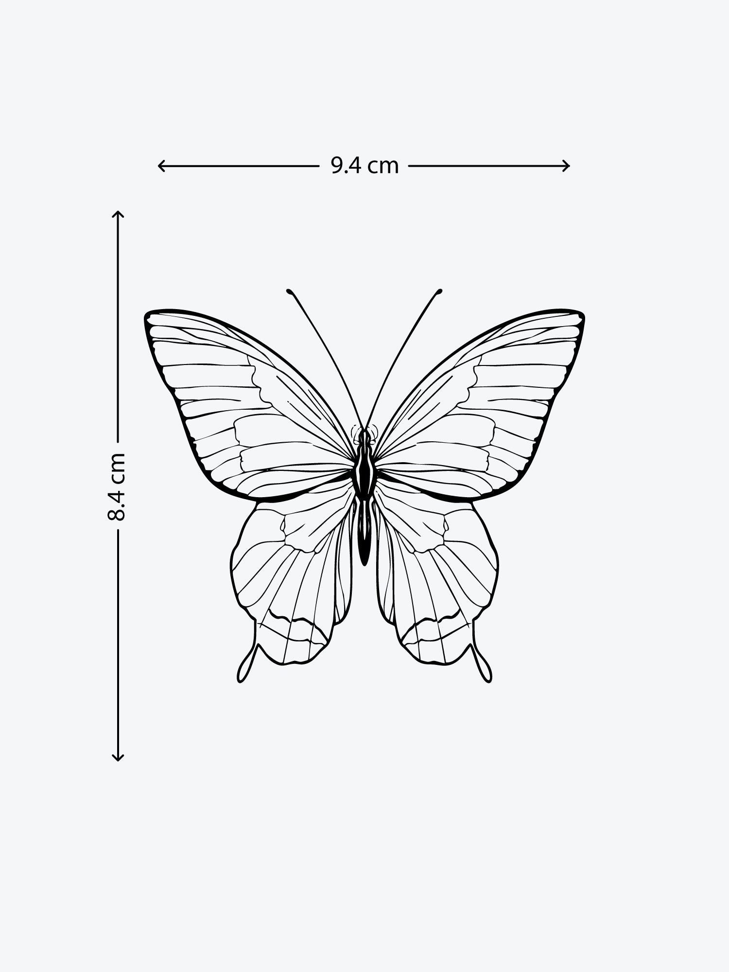Butterfly Linework temporary tattoo