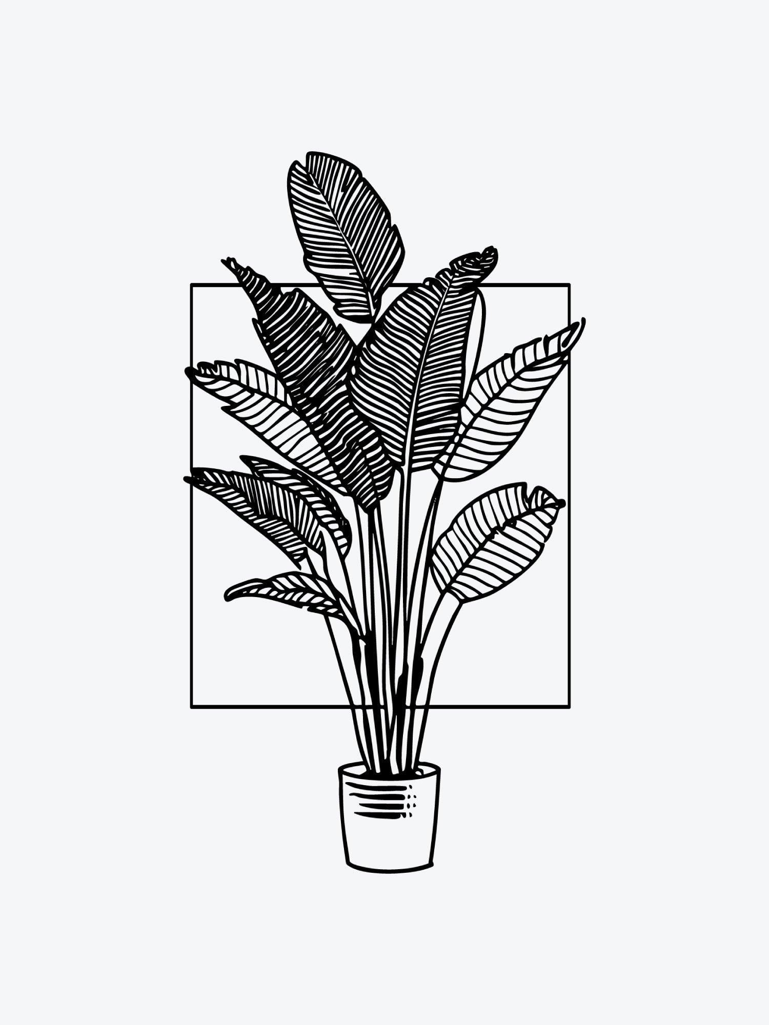 Plant In A Square temporary tattoo