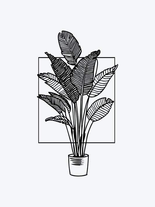 Plant In A Square temporary tattoo