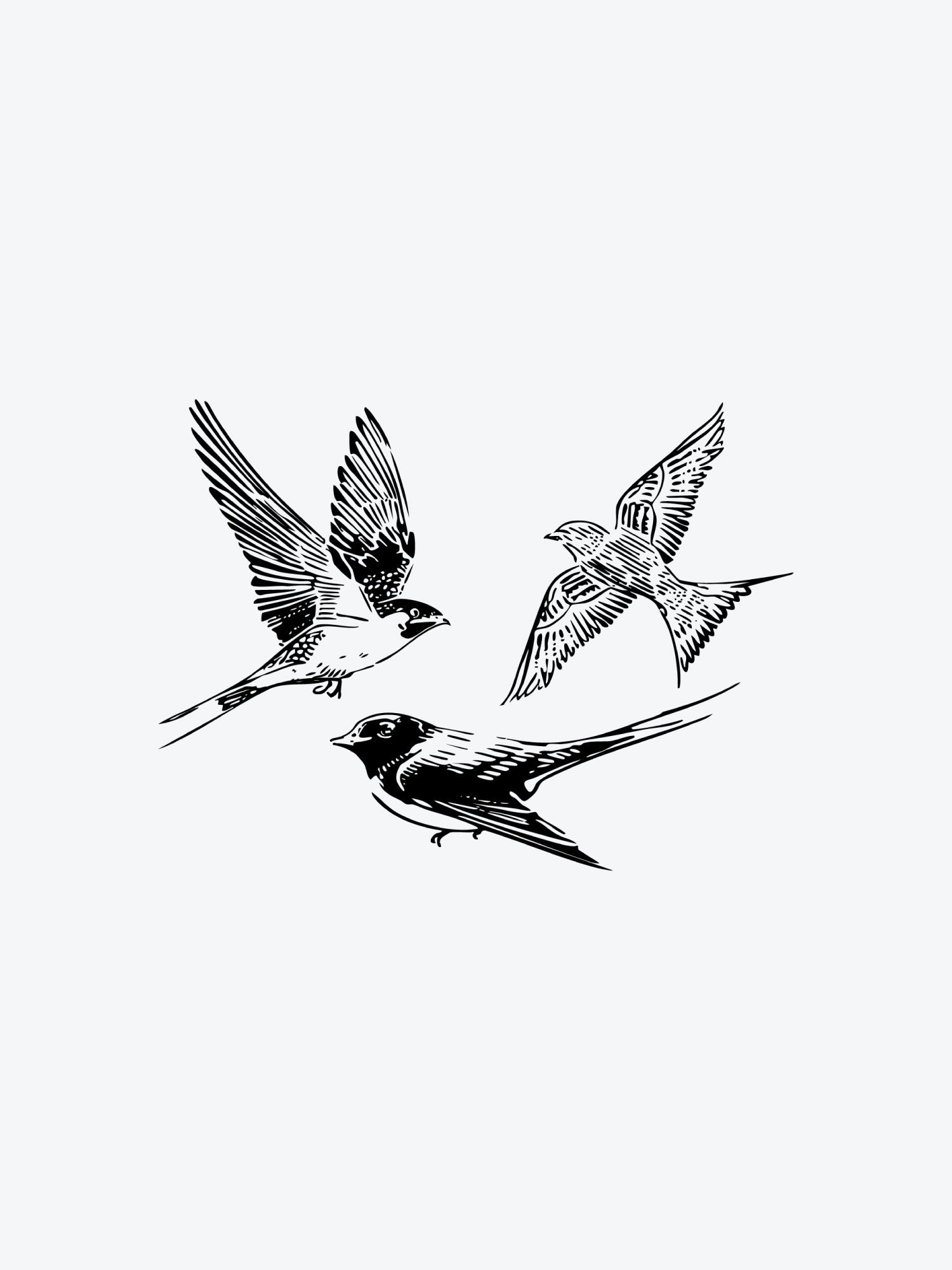 Bird Bundle (3 Tattoos) temporary tattoo