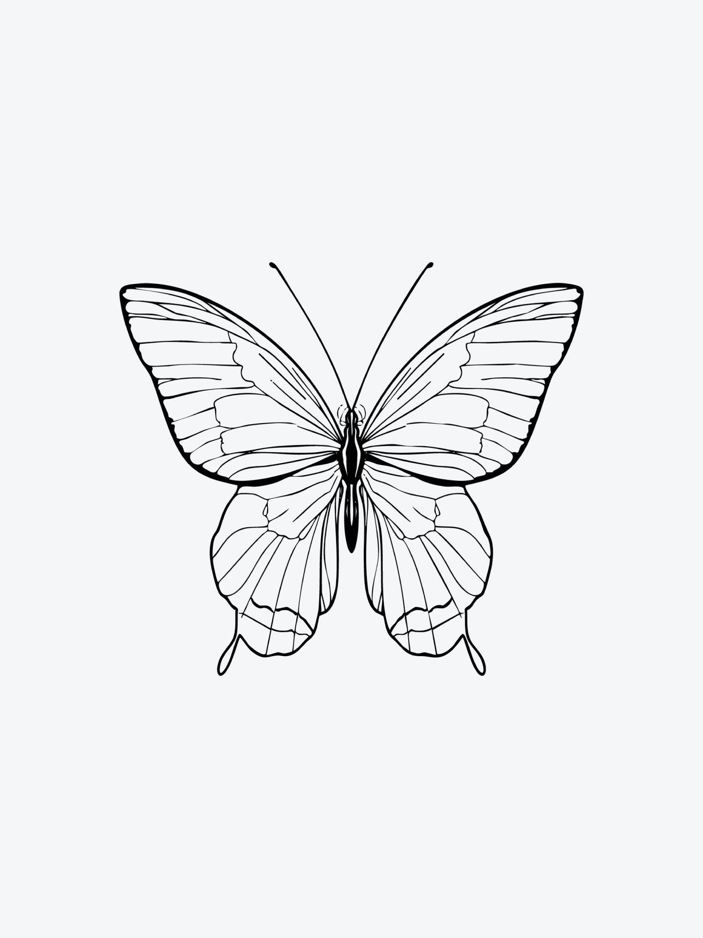 Butterfly Linework temporary tattoo