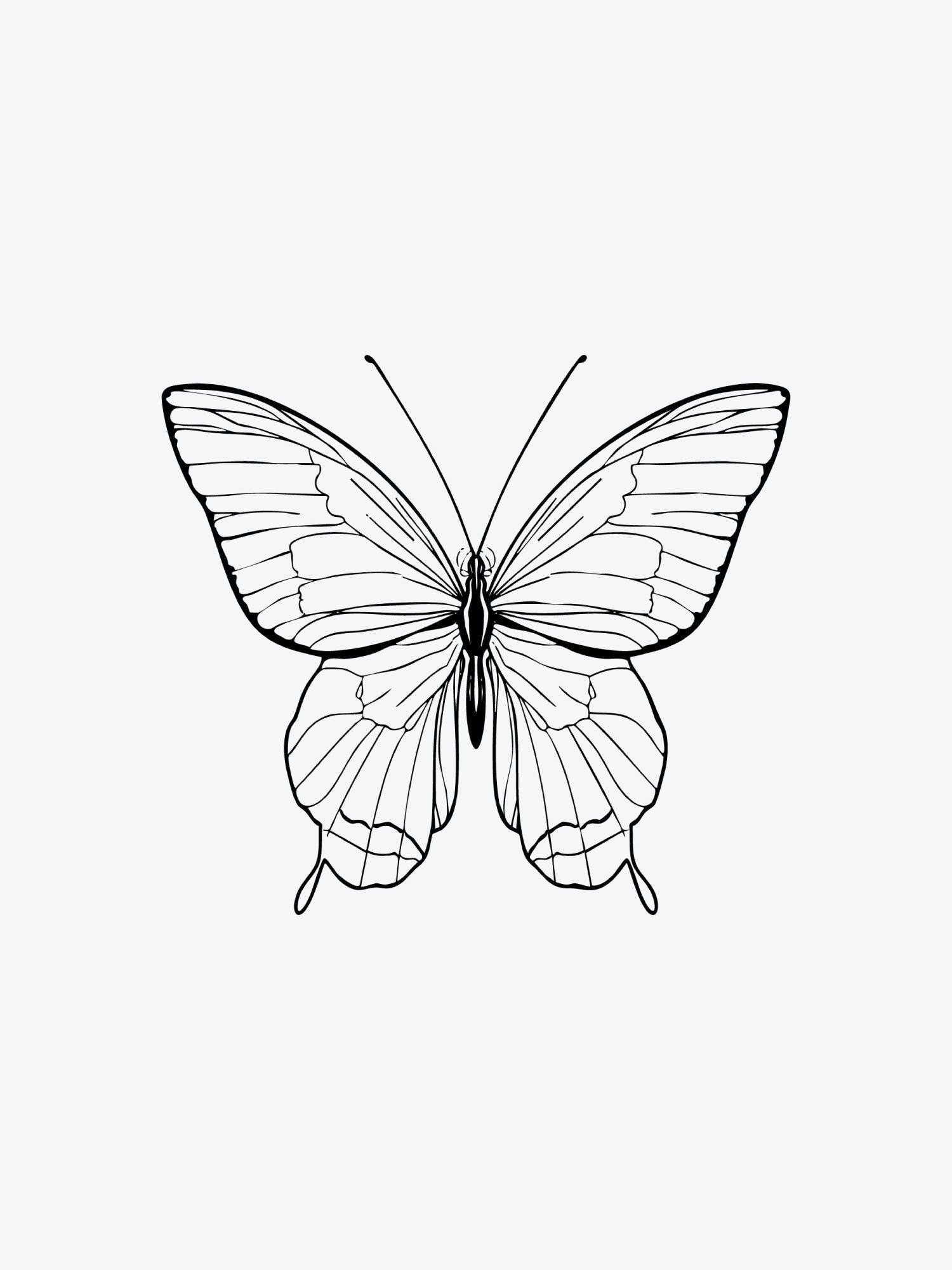 Butterfly Linework temporary tattoo