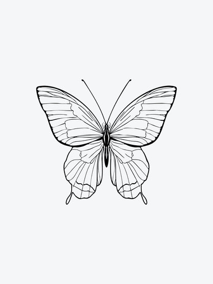 Butterfly Linework temporary tattoo