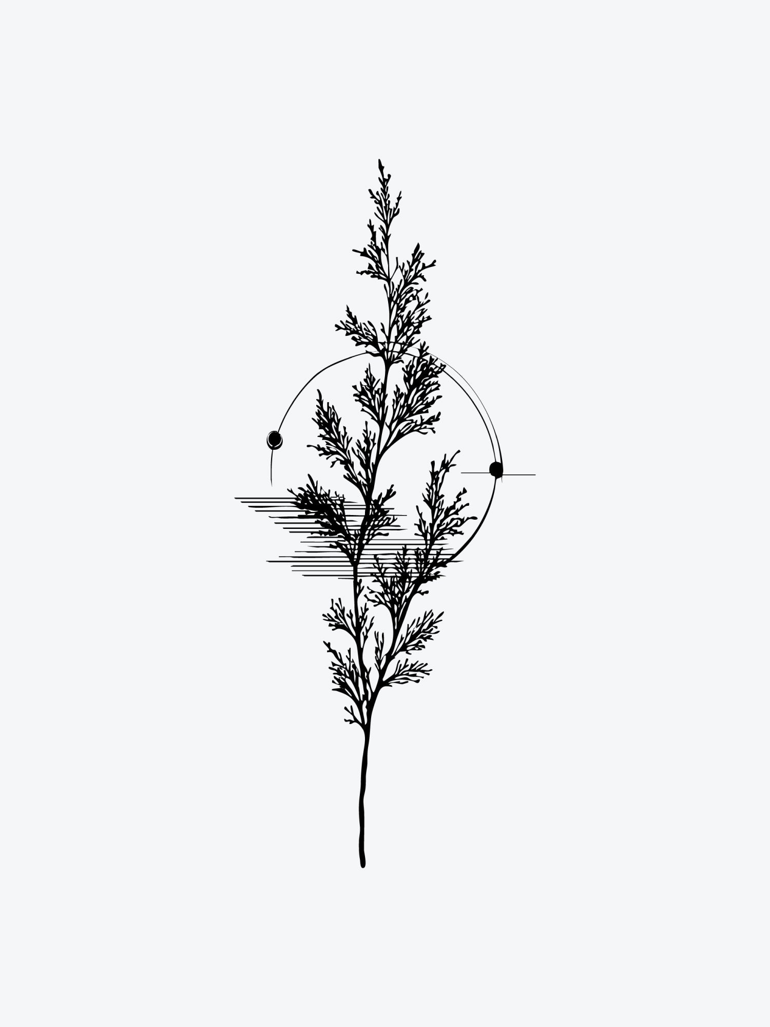 Fir Needle Branch temporary tattoo