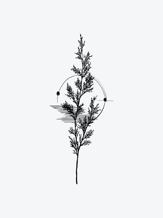 Fir Needle Branch temporary tattoo