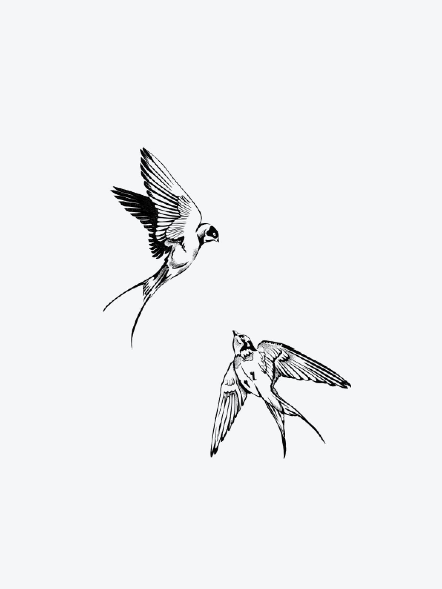 Swallow Birds Couple temporary tattoo