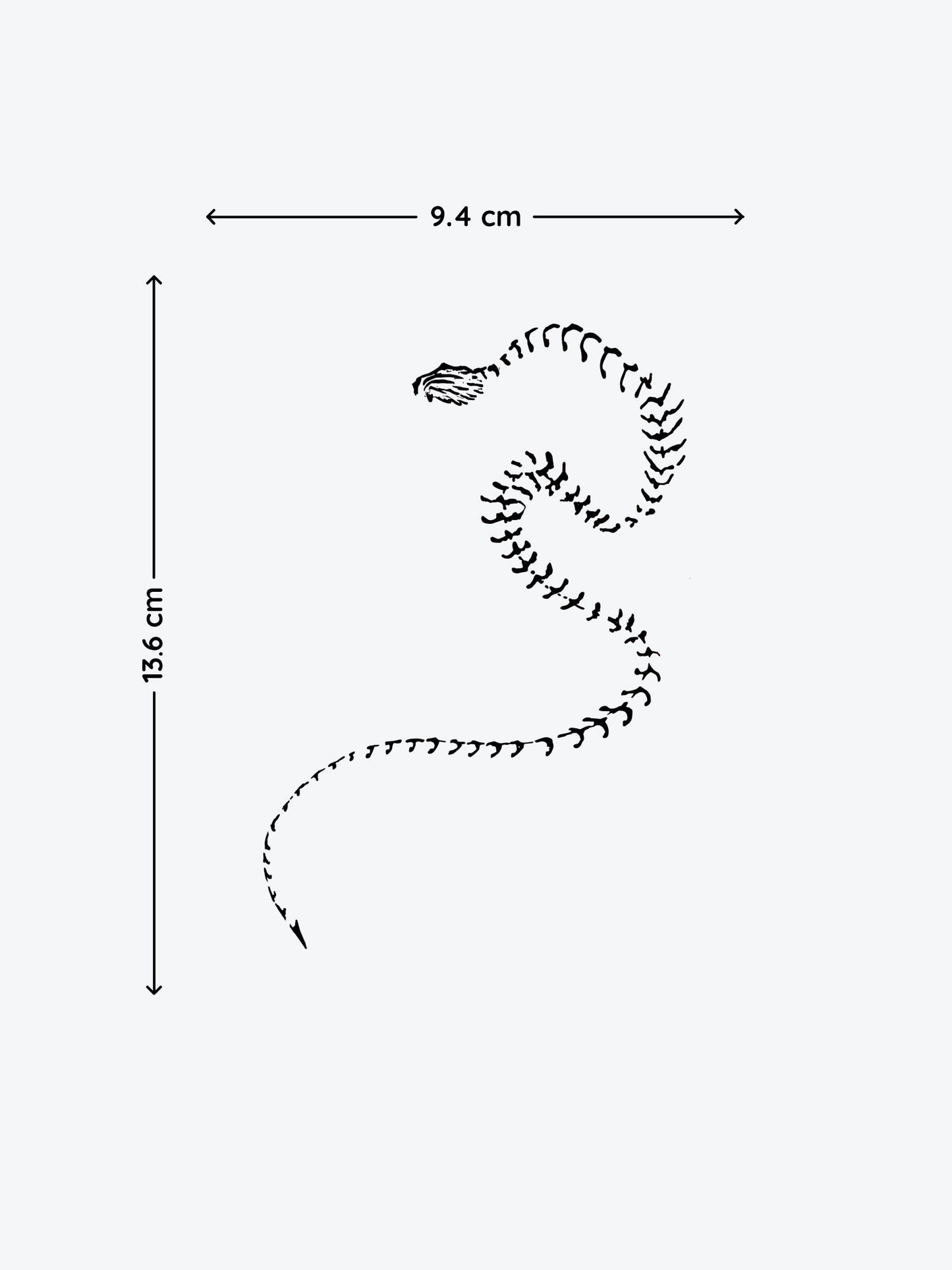 Snake Skeleton temporary tattoo