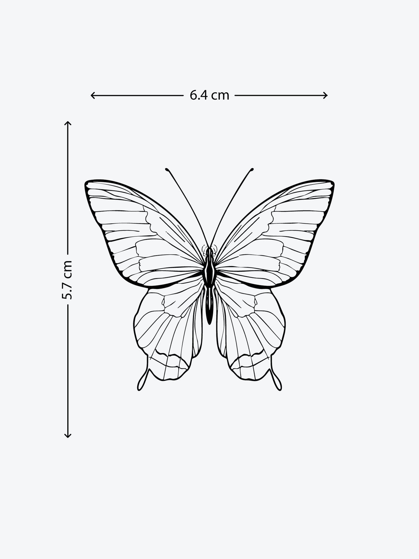 Butterfly Linework temporary tattoo