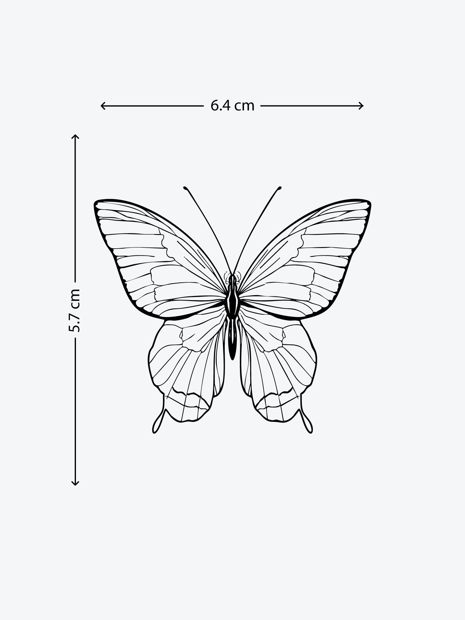 Butterfly Linework temporary tattoo