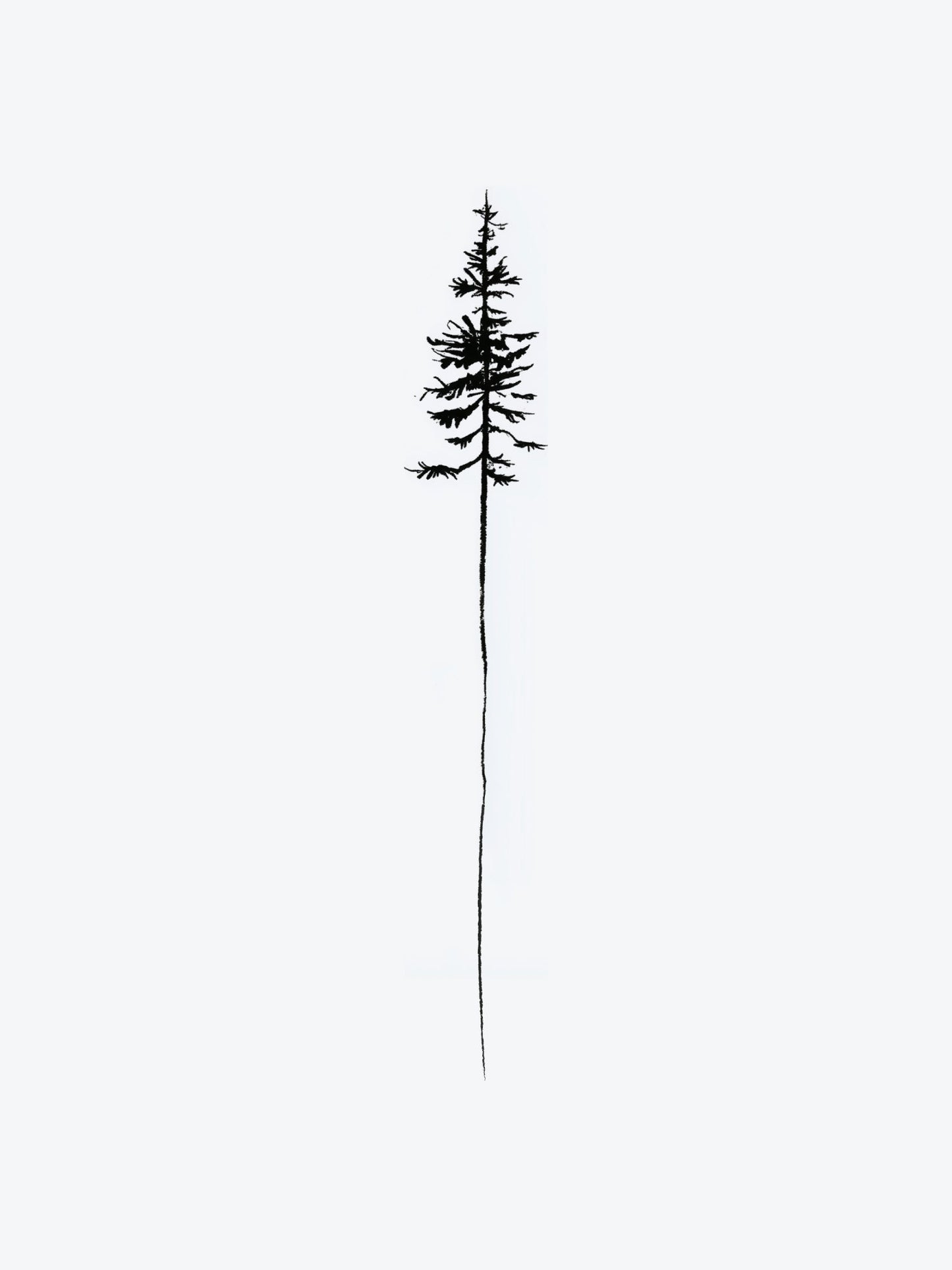 Shy Tree temporary tattoo