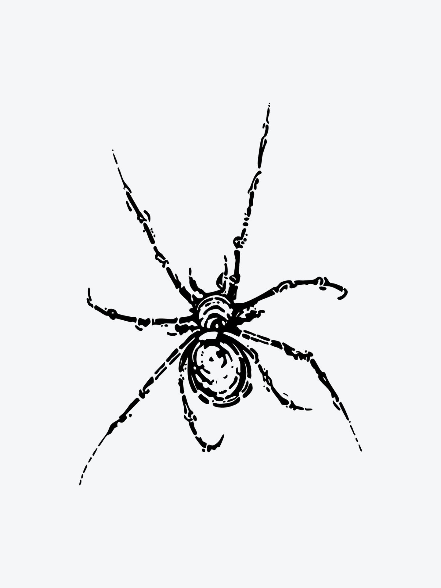 Spider Skeleton temporary tattoo