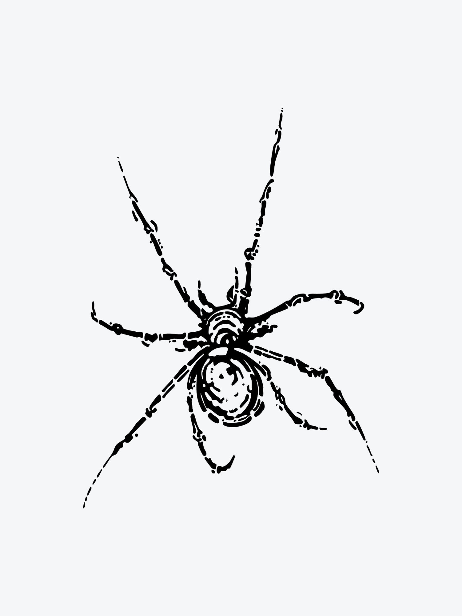 Spider Skeleton temporary tattoo