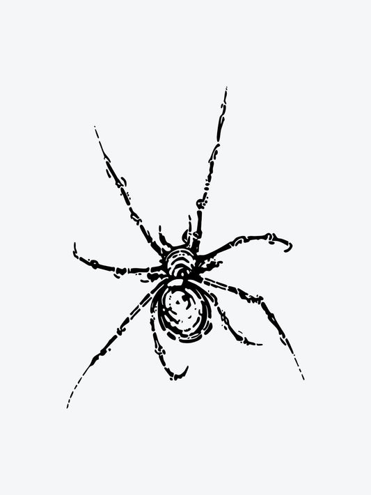 Spider Skeleton temporary tattoo