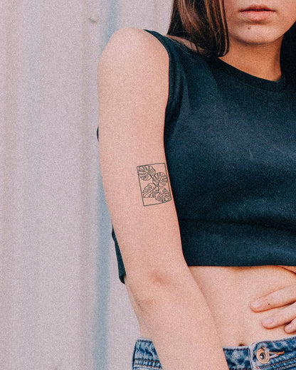 Monstera Plant temporary tattoo
