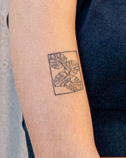 Monstera Plant temporary tattoo