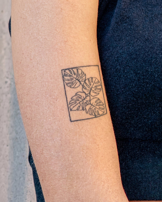 Monstera Plant temporary tattoo