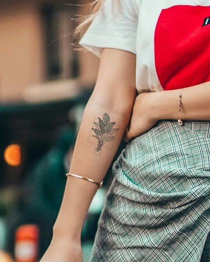 Plant In A Square temporary tattoo