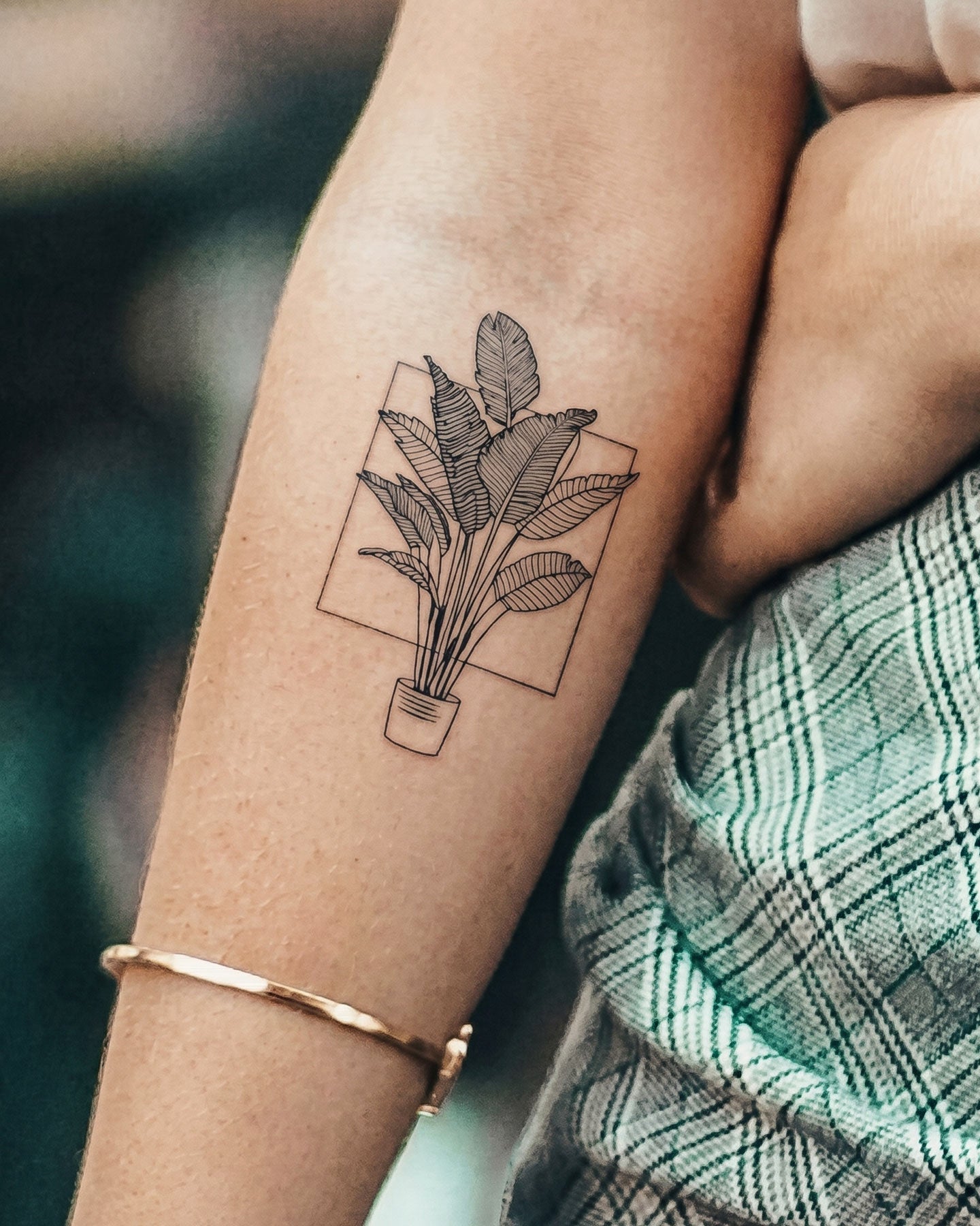 Plant In A Square temporary tattoo
